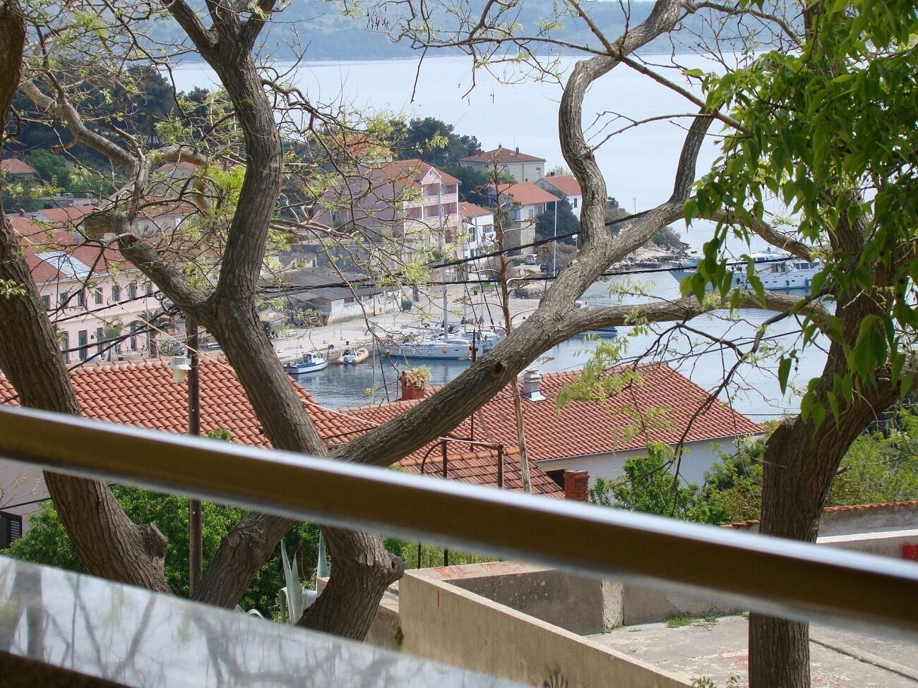 Apartment Žana 104451-A1