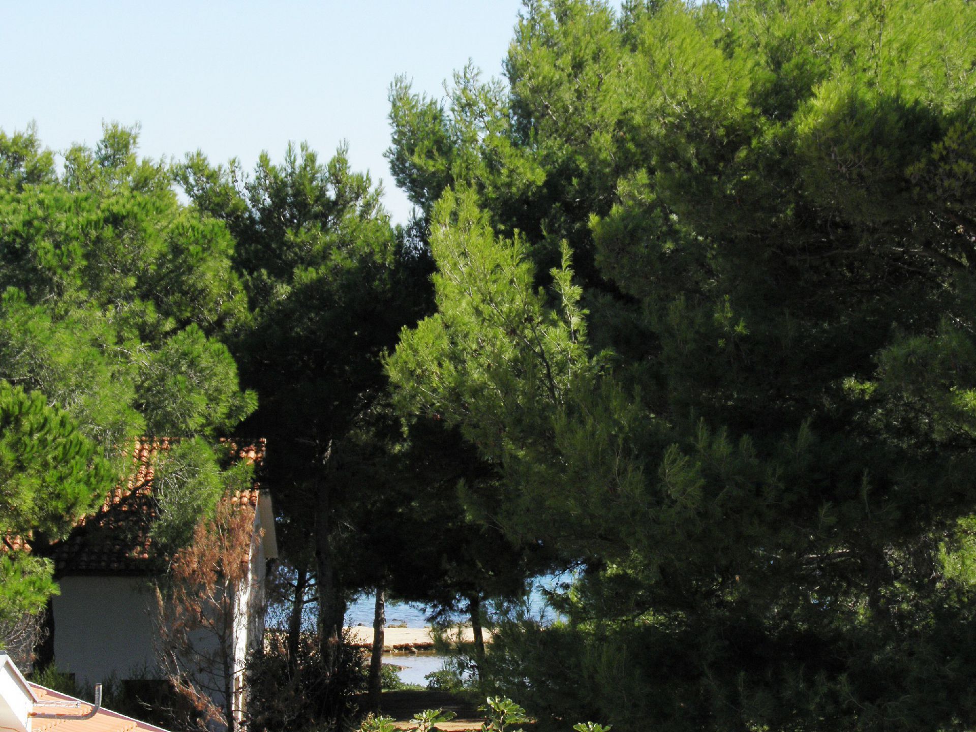 Apartments VINK 10459-A4