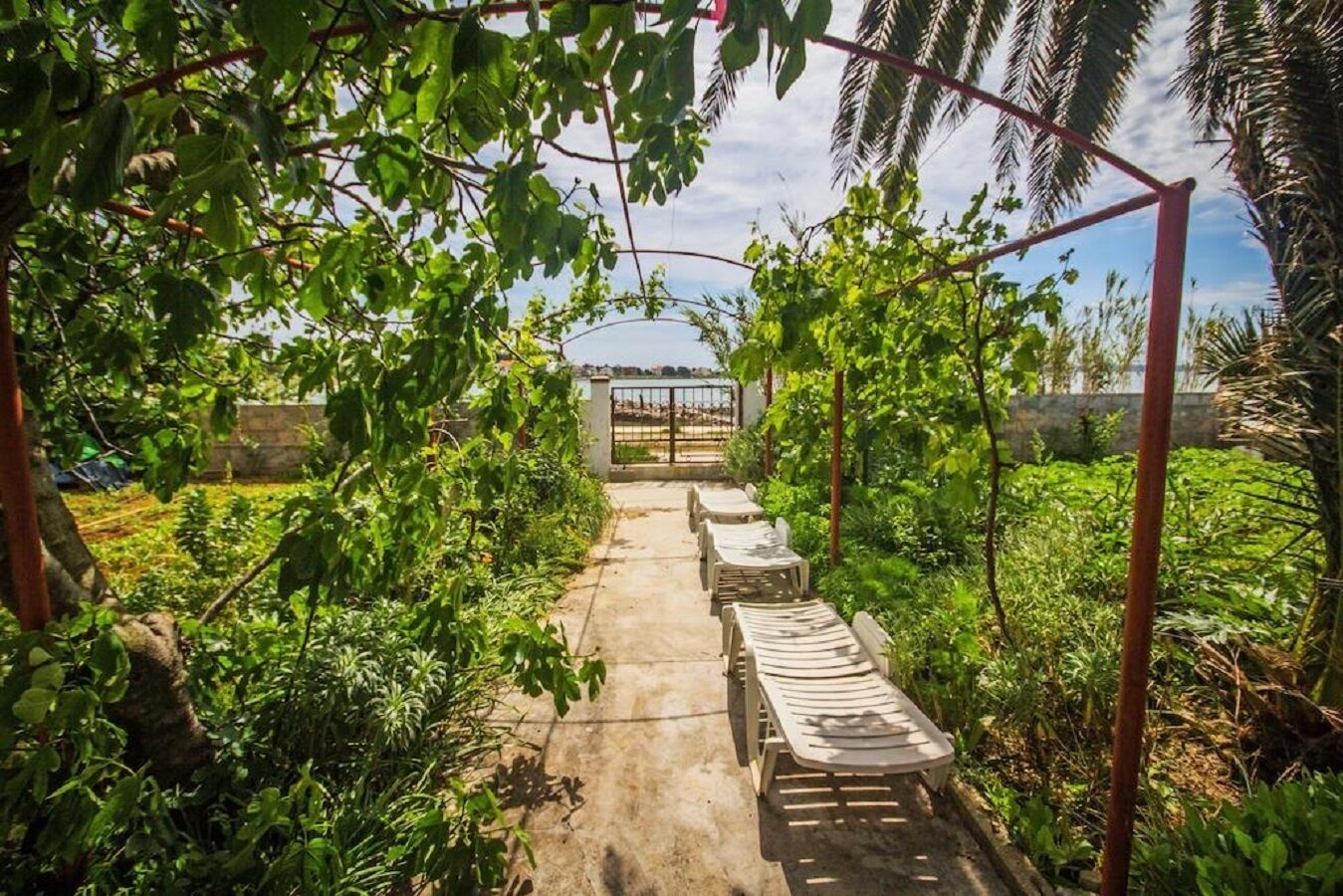 Photo of Apartments Teo