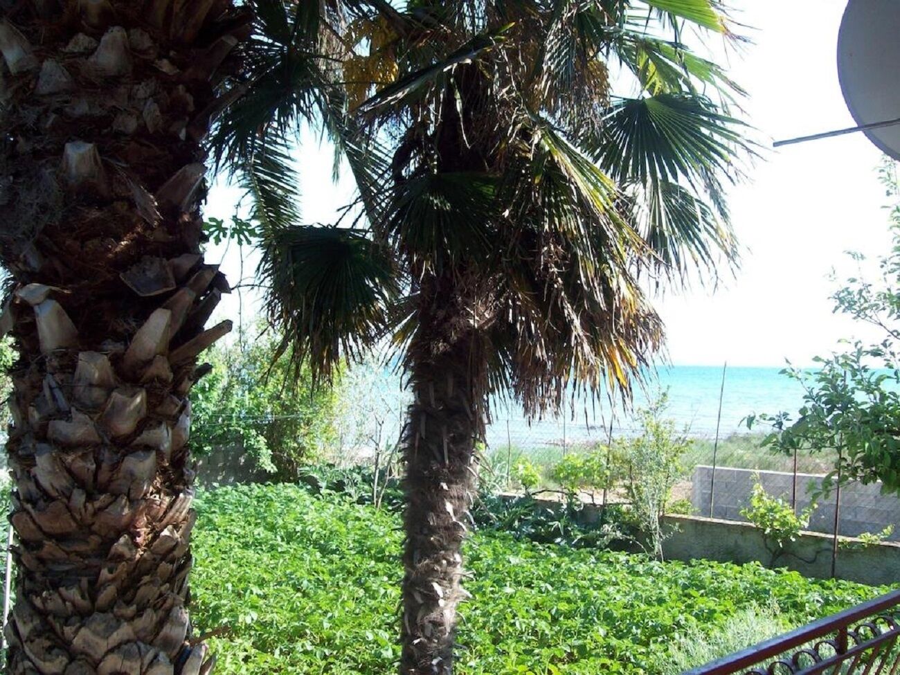 Photo of Apartments Teo