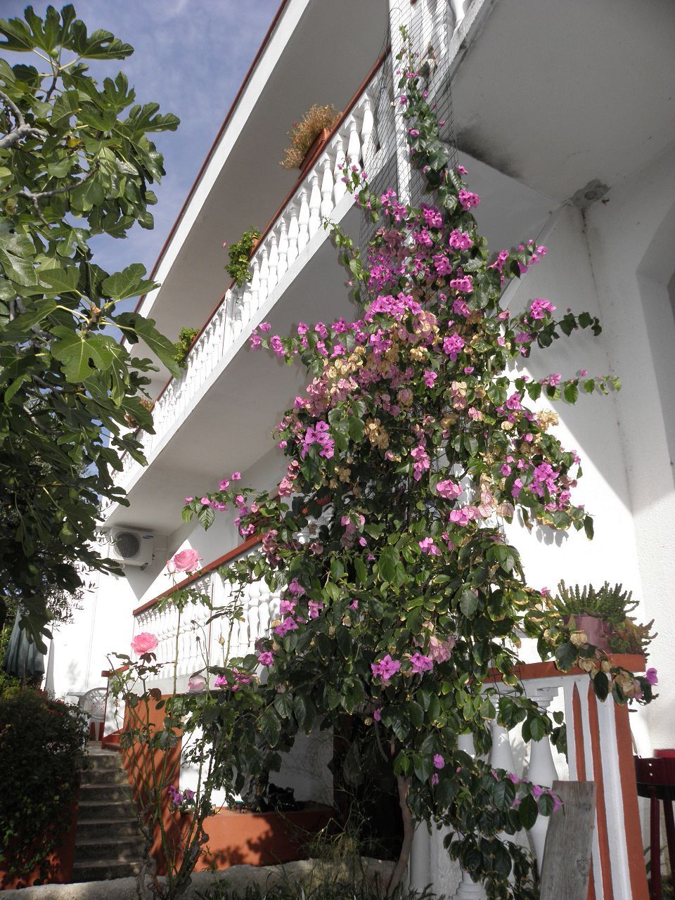 Apartments Pere 104541-A3