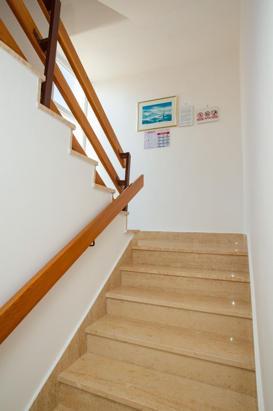 Apartments and Rooms Ivan 104681-A2