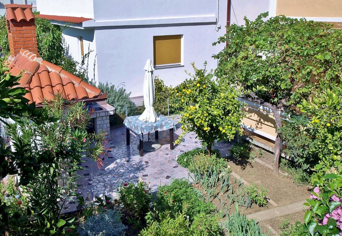 Apartment Ana 10475-A2