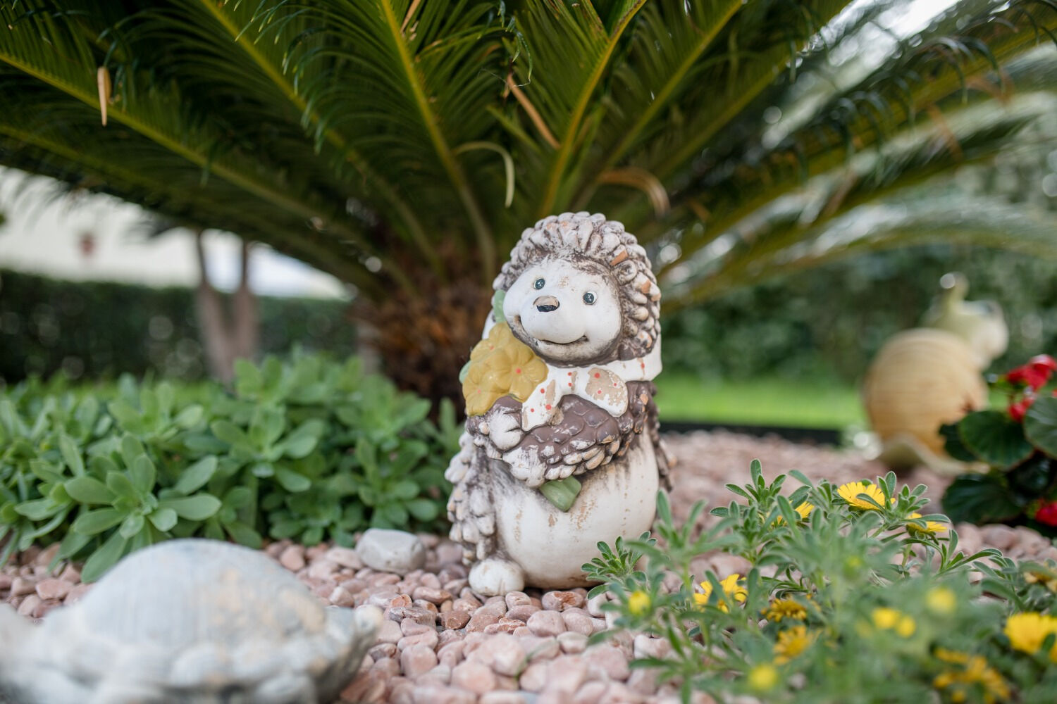 Photo of Apartments Mar