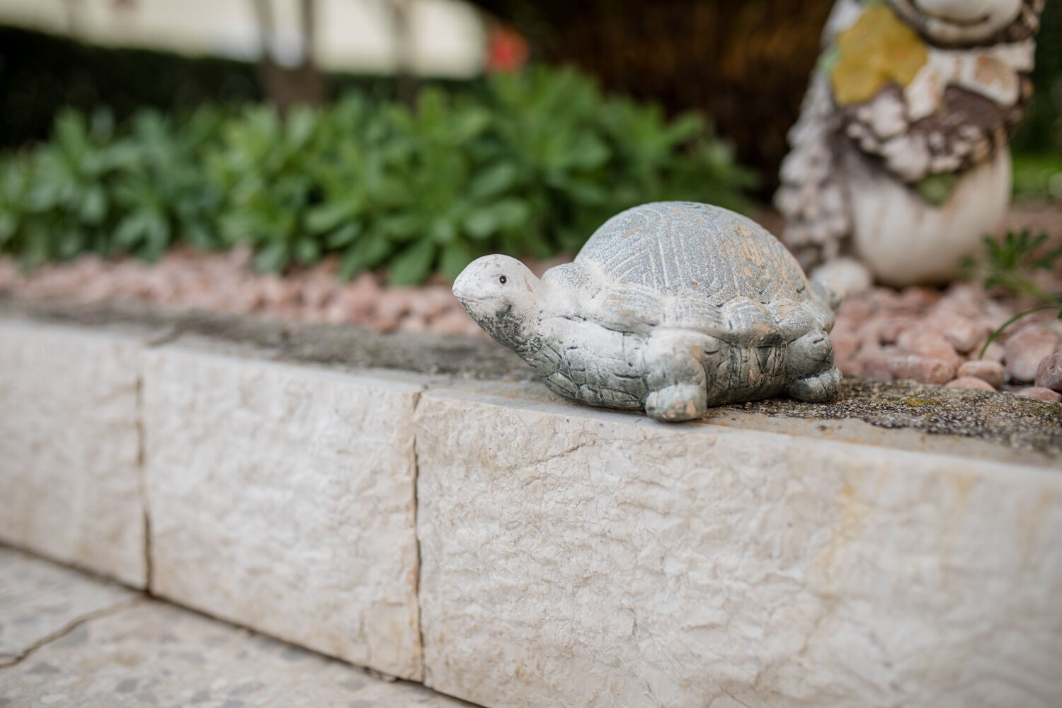 Photo of Apartments Mar