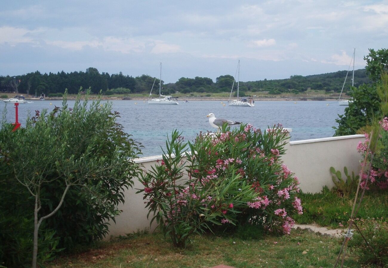 Apartments Azur 104721-A1