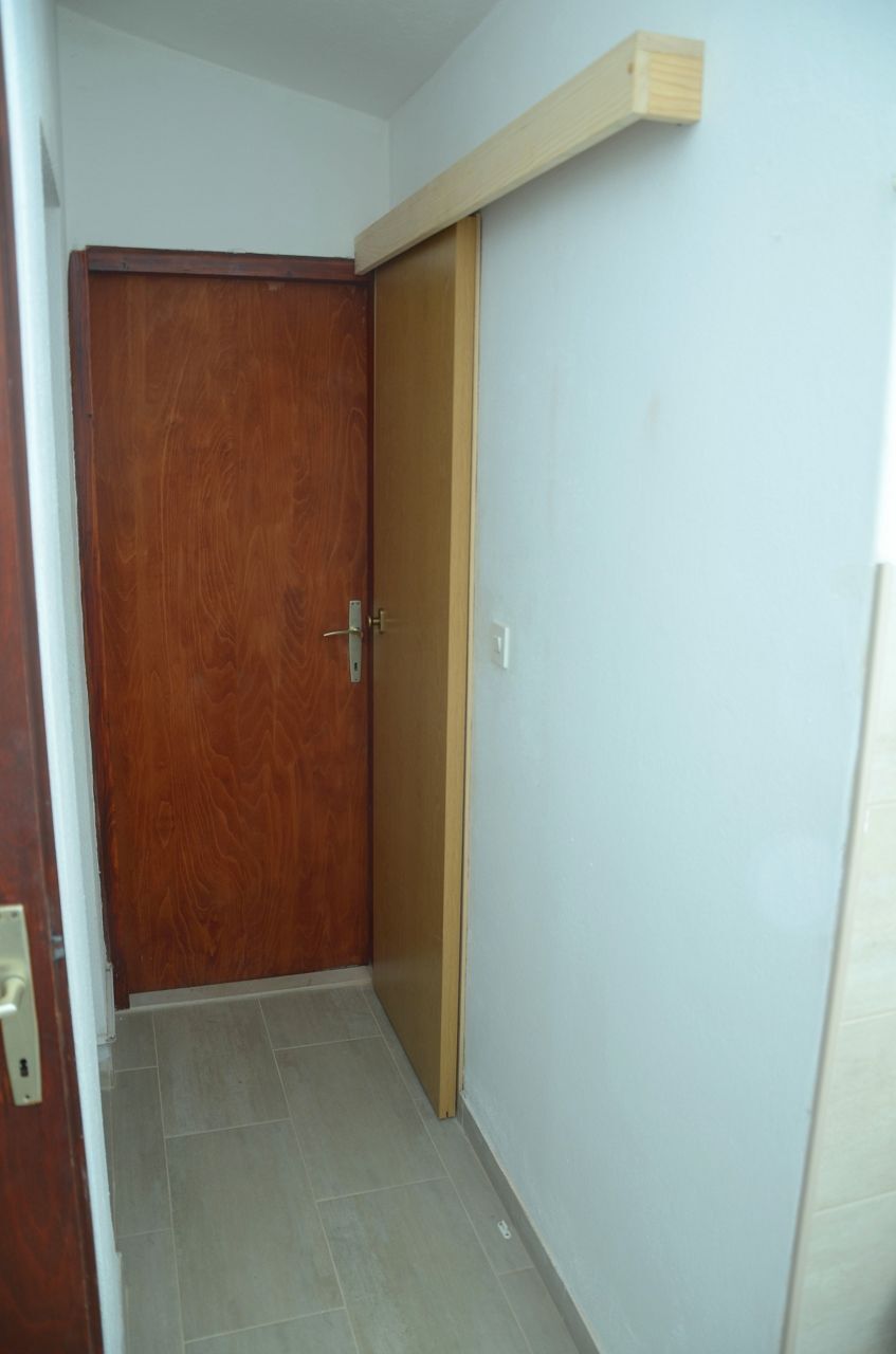 House Mare 104891-K1