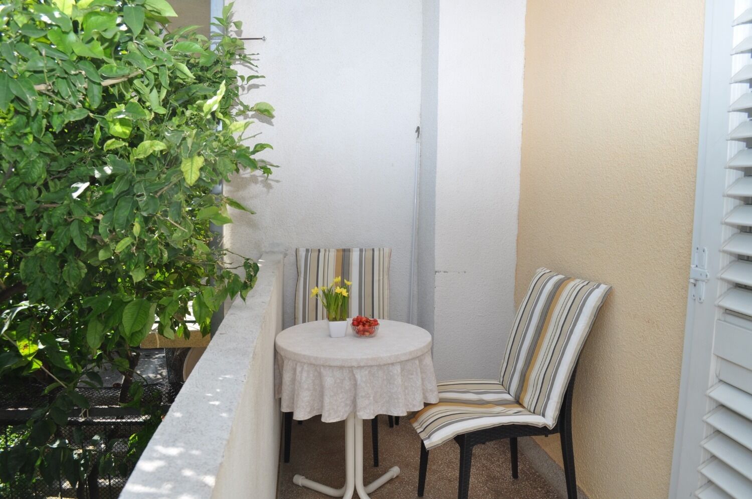 Room Ljuba 10494-A2