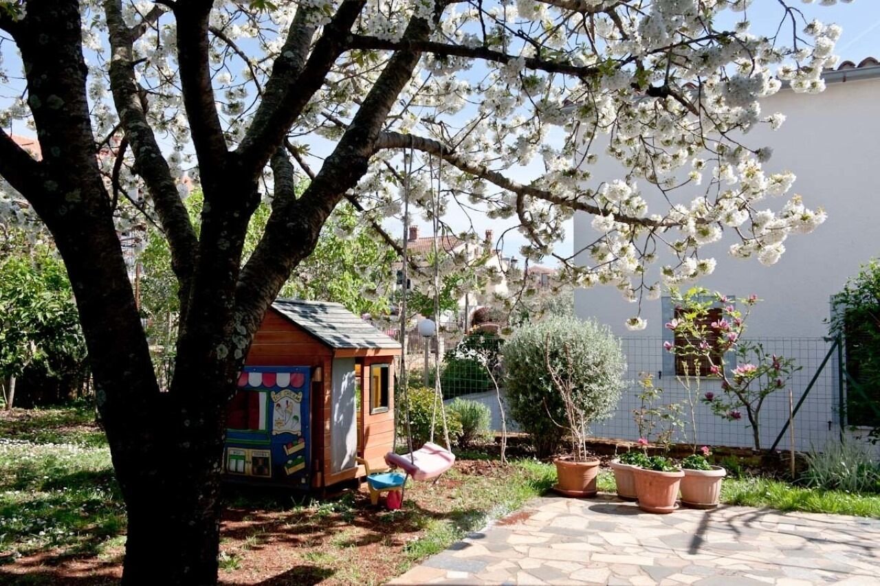 Photo of Apartment Neva