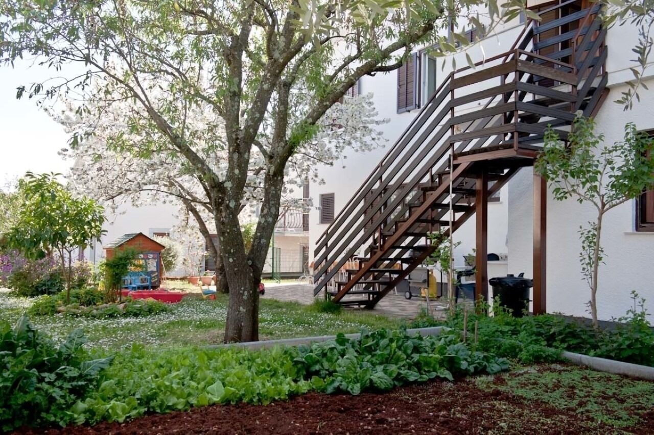 Photo of Apartment Neva