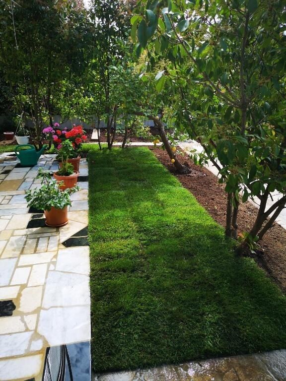 Apartments Dragi 10164-A1