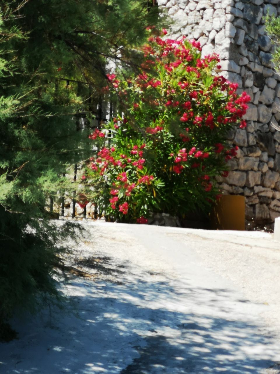 Apartments Dragi 10165-A1
