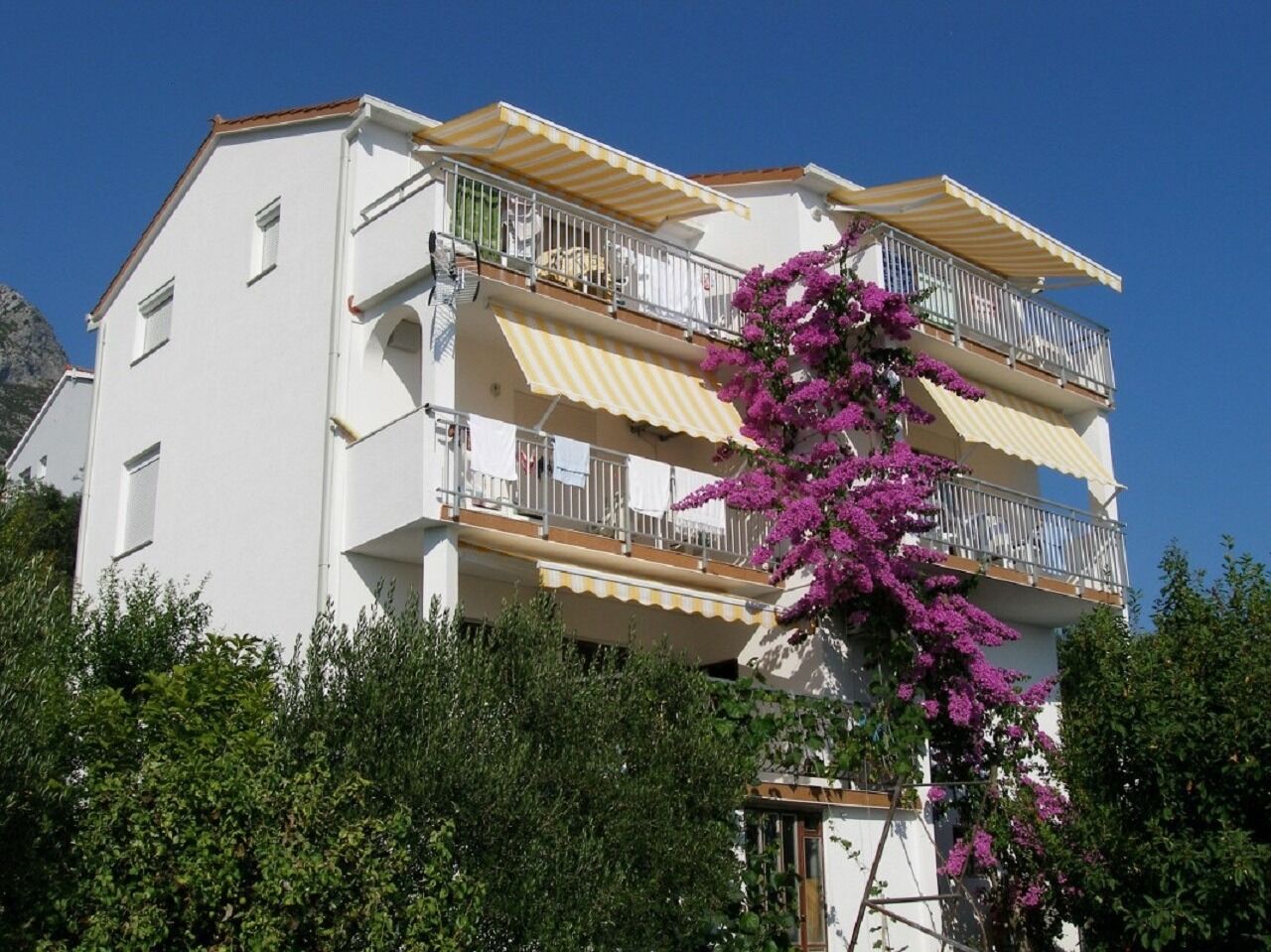 Apartments Kate 104991-A2