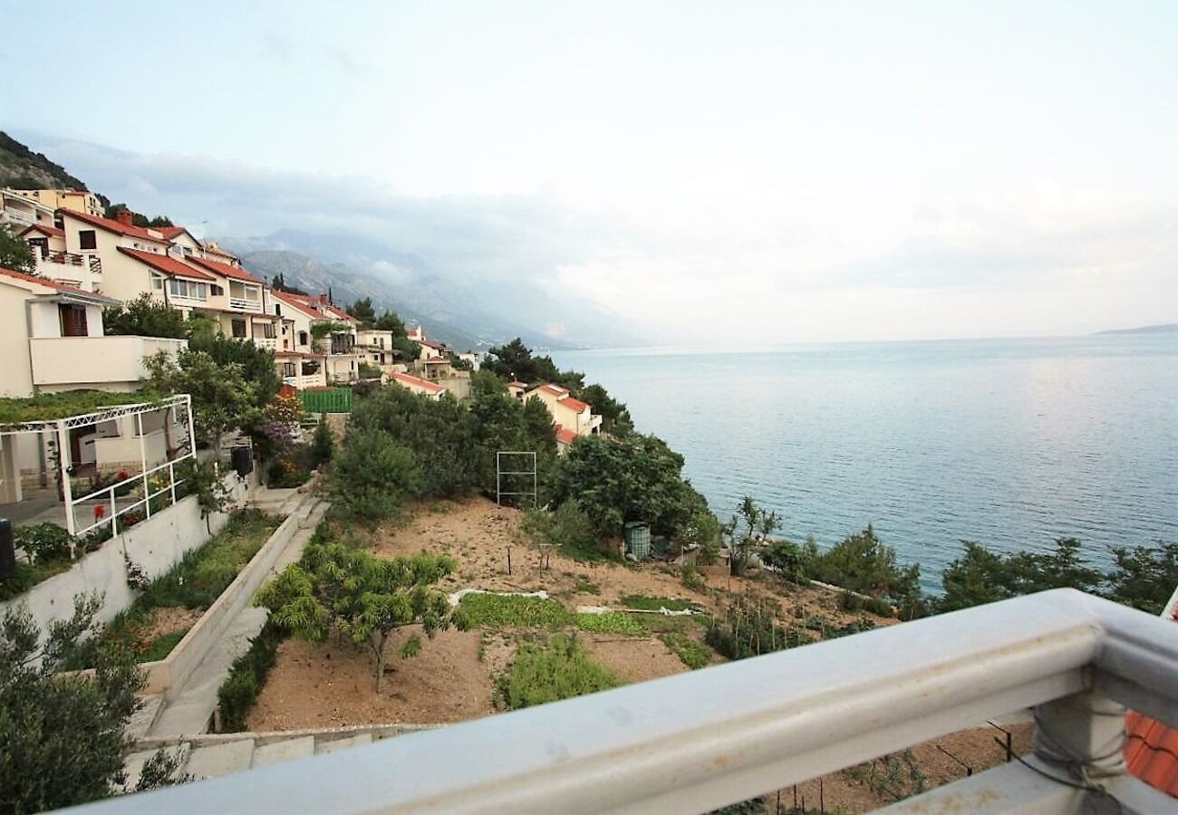 Apartment Šera 103891-A3