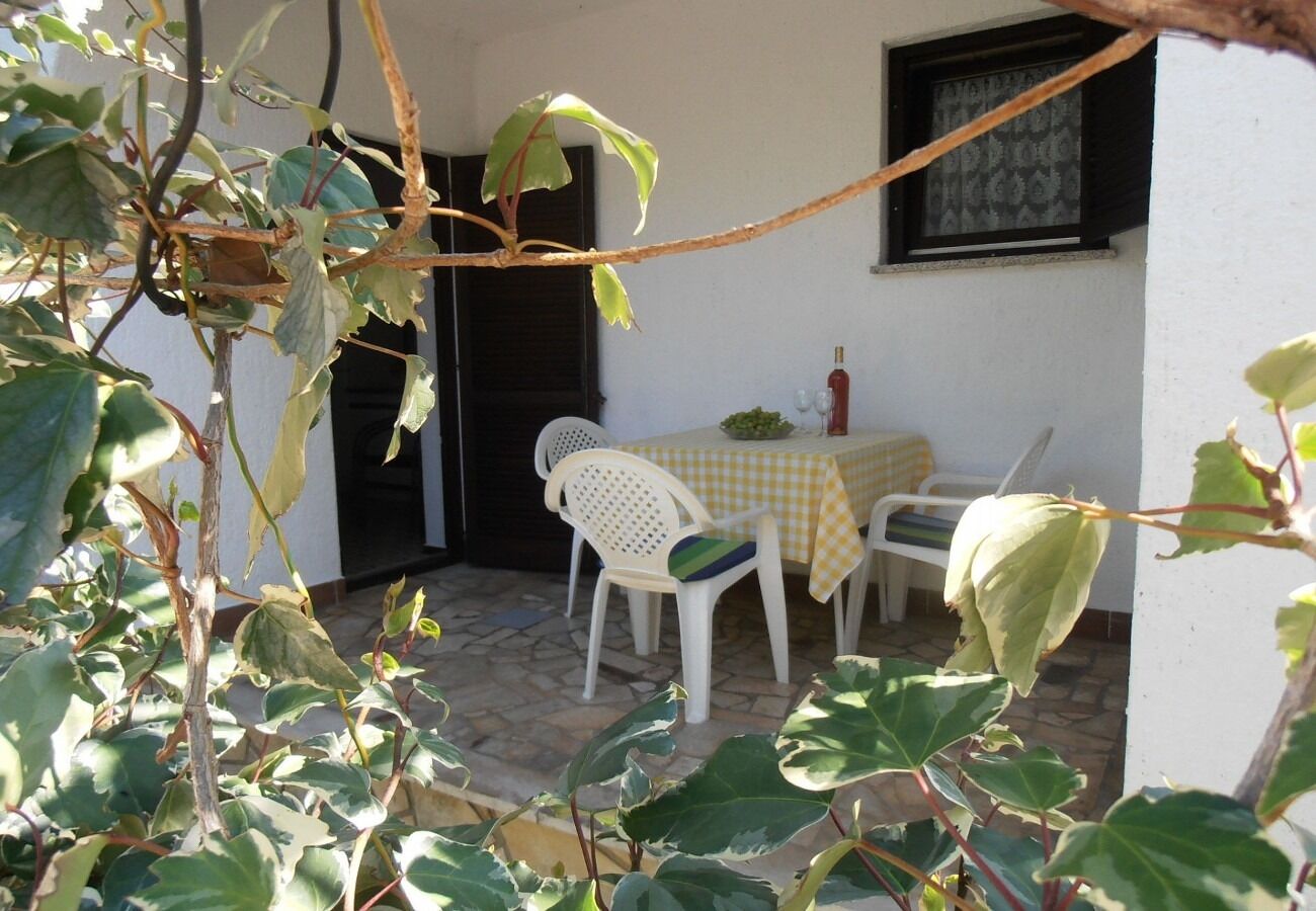 Apartment Dragica 105111-A2