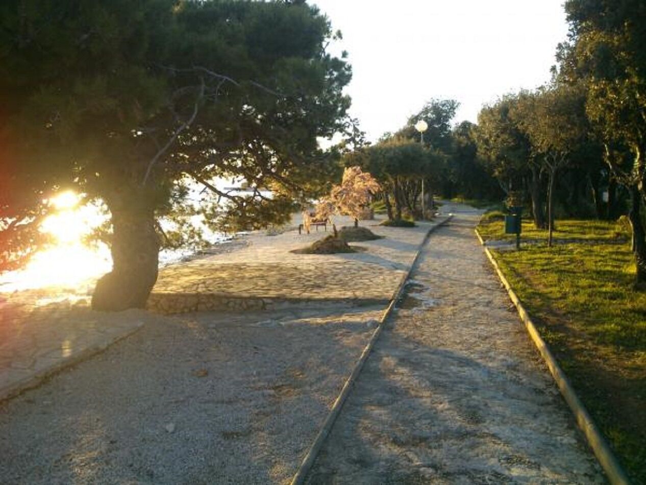 Photo of Apartments Mis