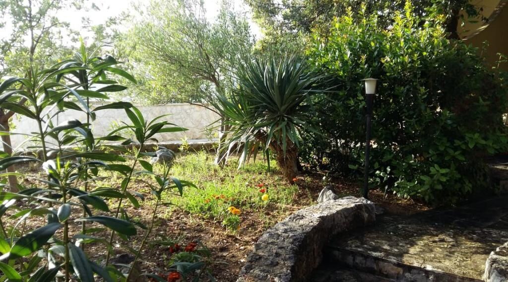 Photo of Apartments Mis