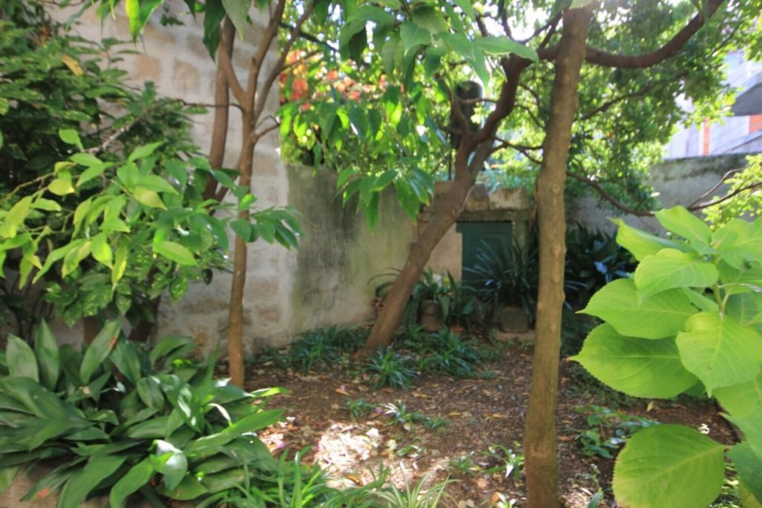 House Korta 105221-K1