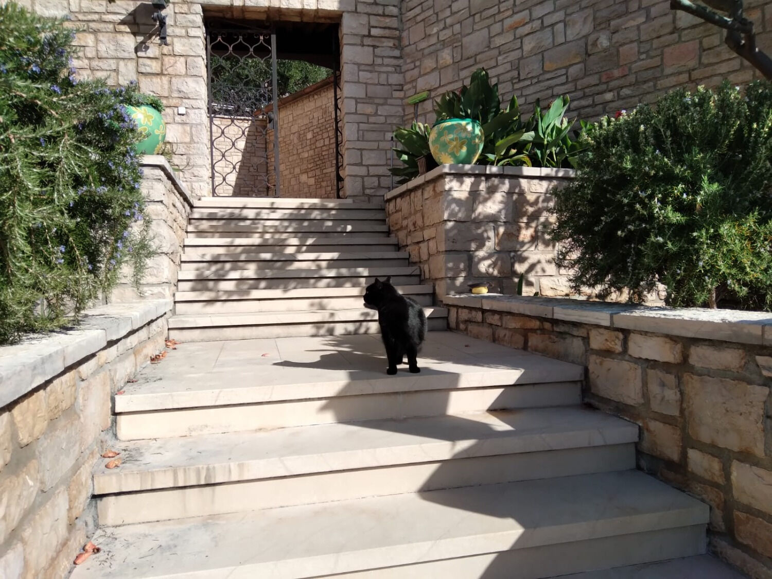 Room Ref 105241-A2