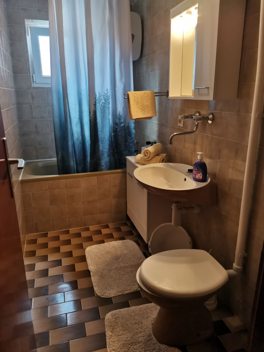 Apartments Srđan 105291-A2