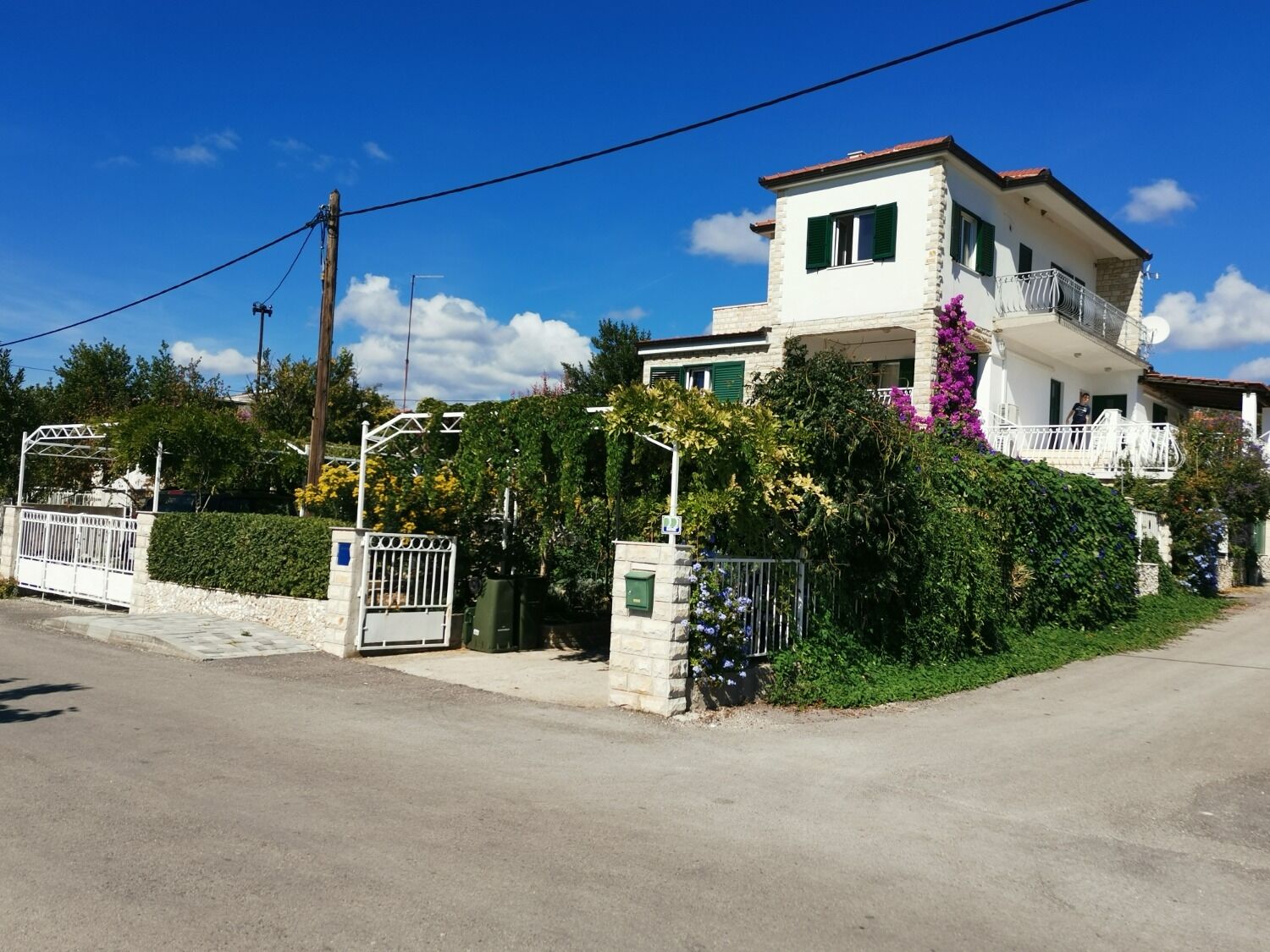 Apartments Srđan 105291-A1