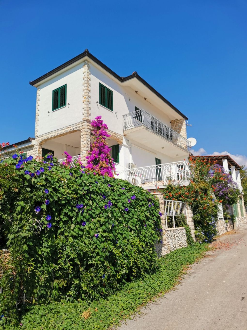 Apartments Srđan 105291-A1