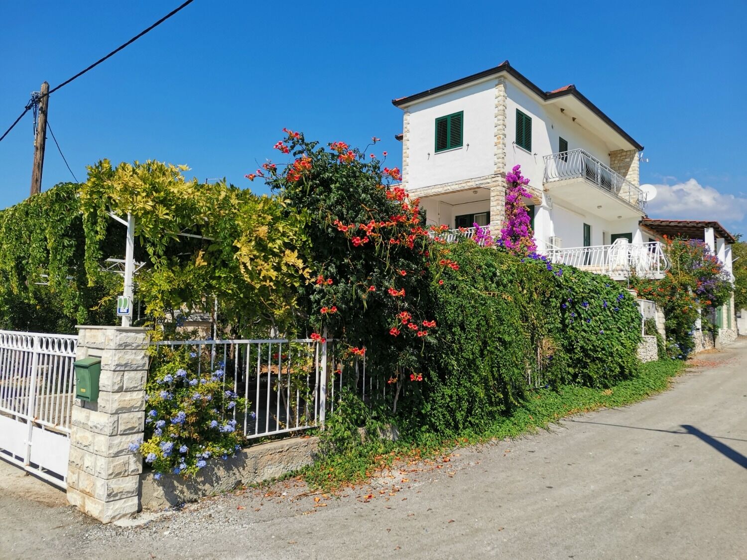 Apartments Srđan 105291-A1
