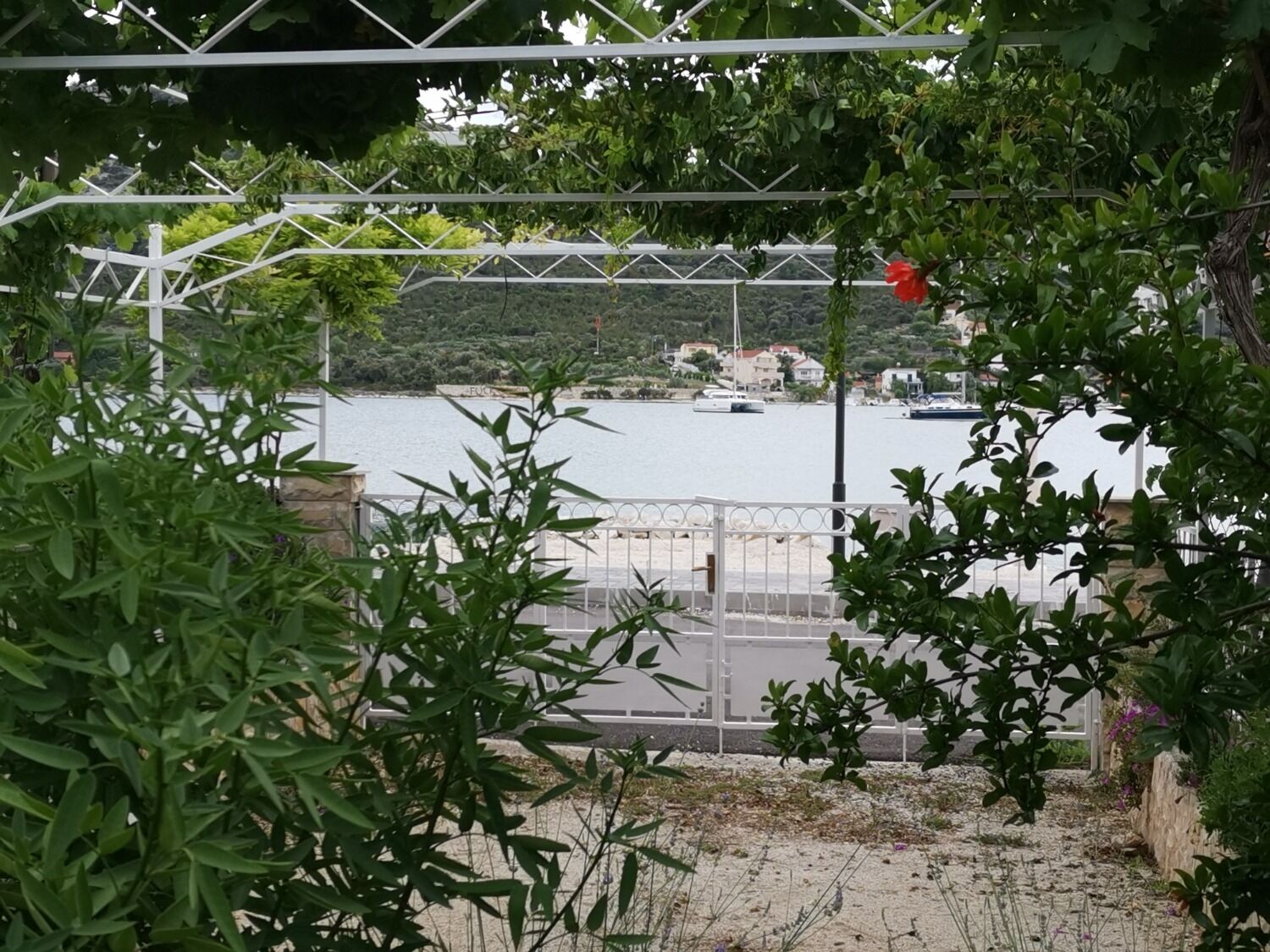 Apartments Srđan 105291-A1