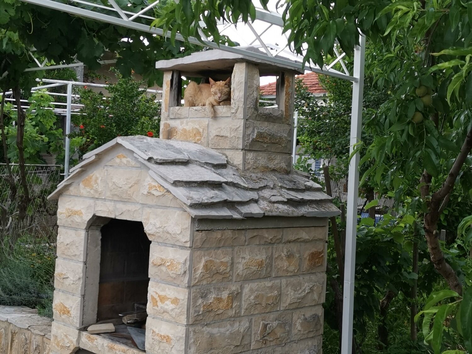 Apartments Srđan 105291-A1