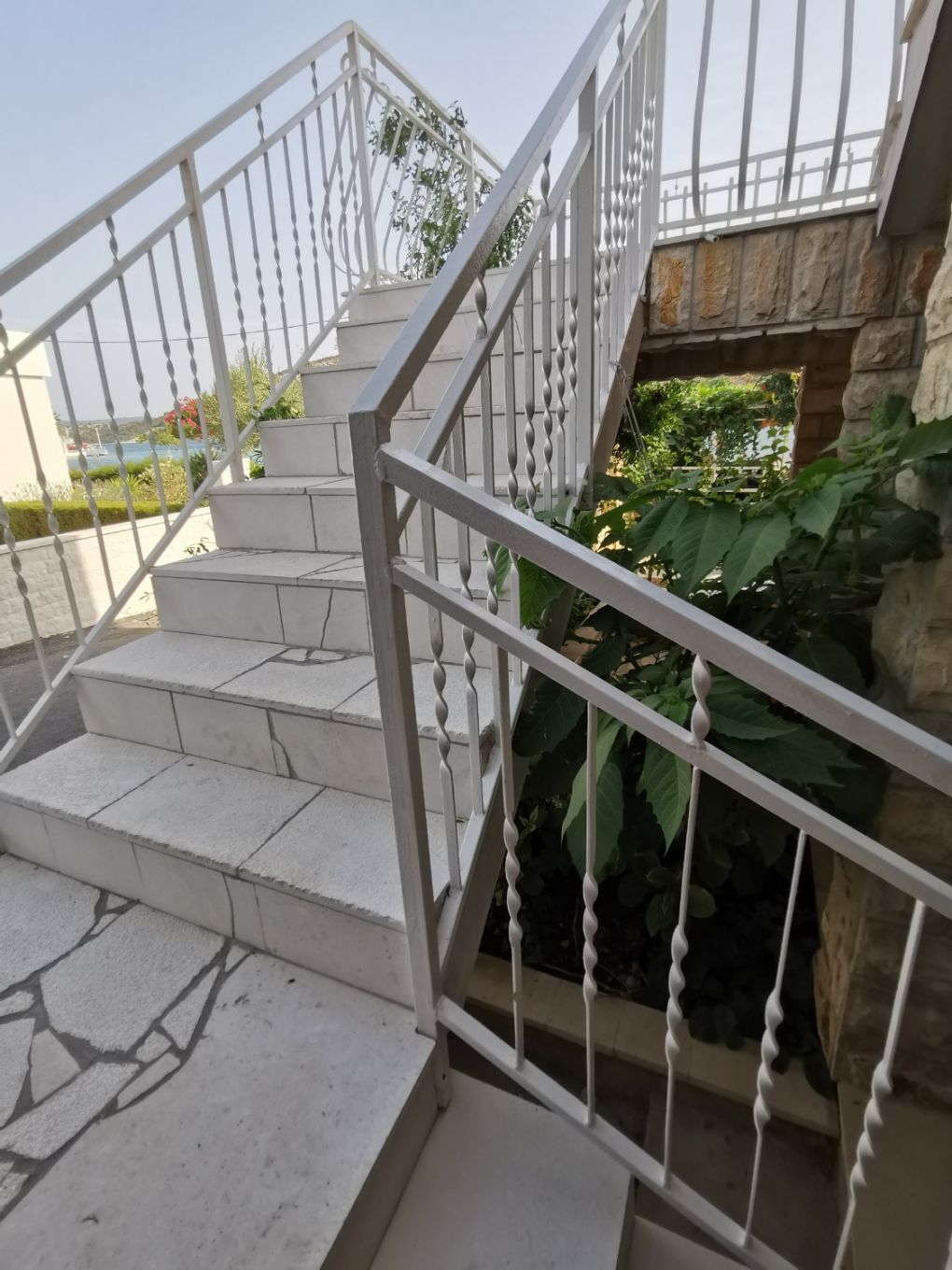 Apartments Srđan 105291-A1