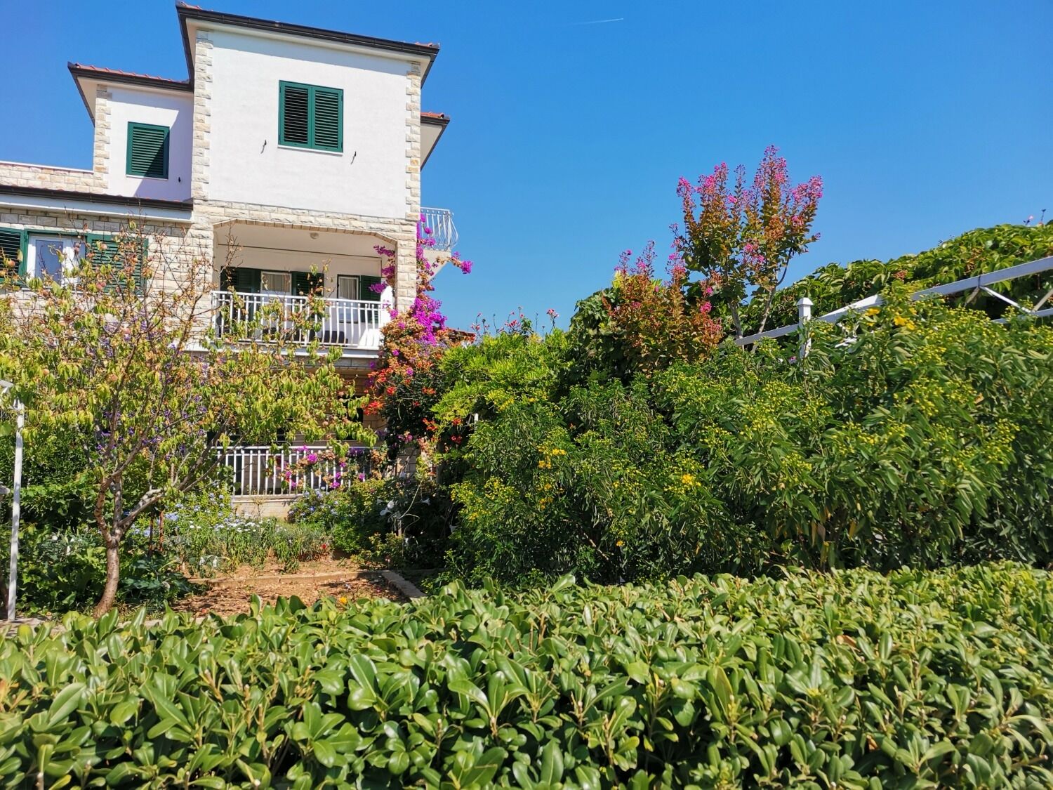 Apartments Srđan 105291-A1