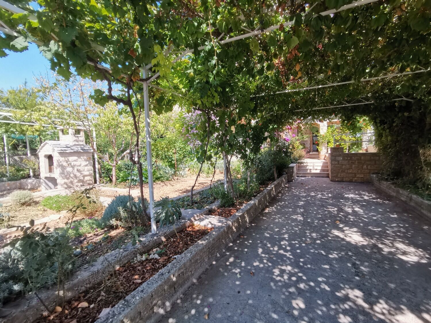 Apartments Srđan 105291-A1