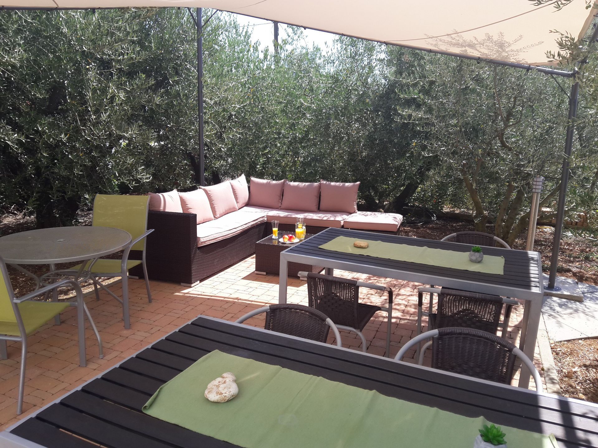 Apartments Olive Garden 10536-A2
