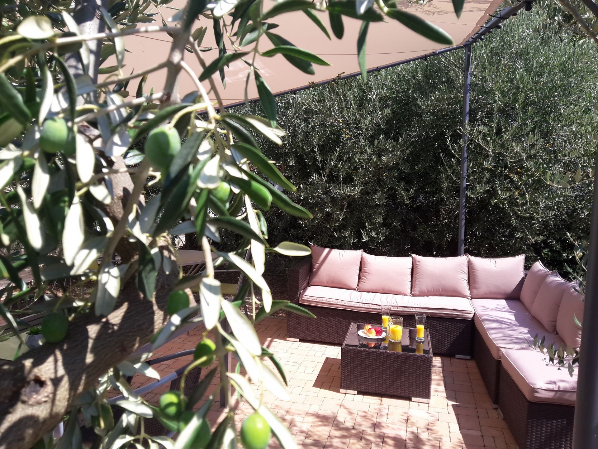 Photo of Apartments Olive Garden