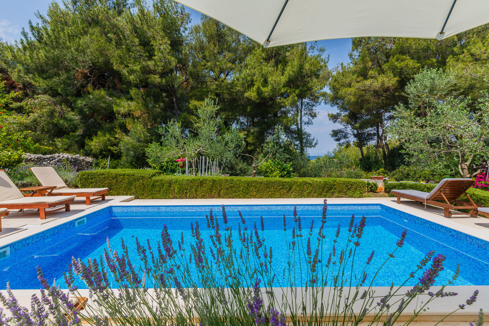 House Sanda 105401-K1