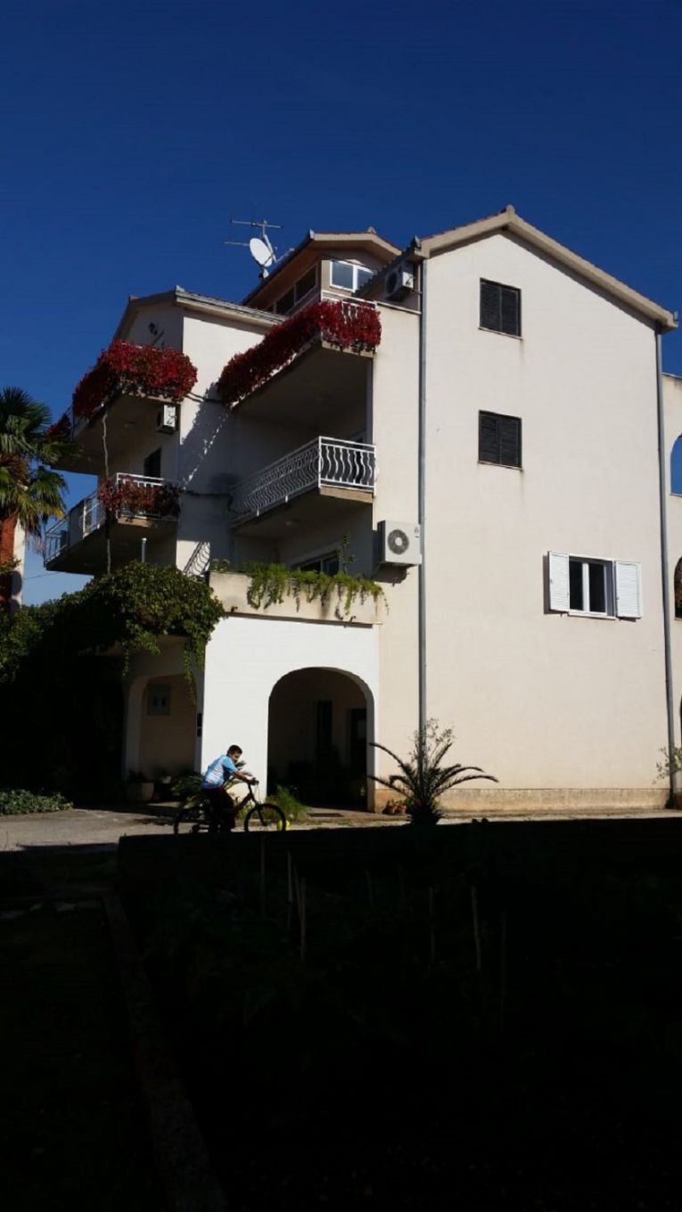 Apartment Biserka 105411-A1
