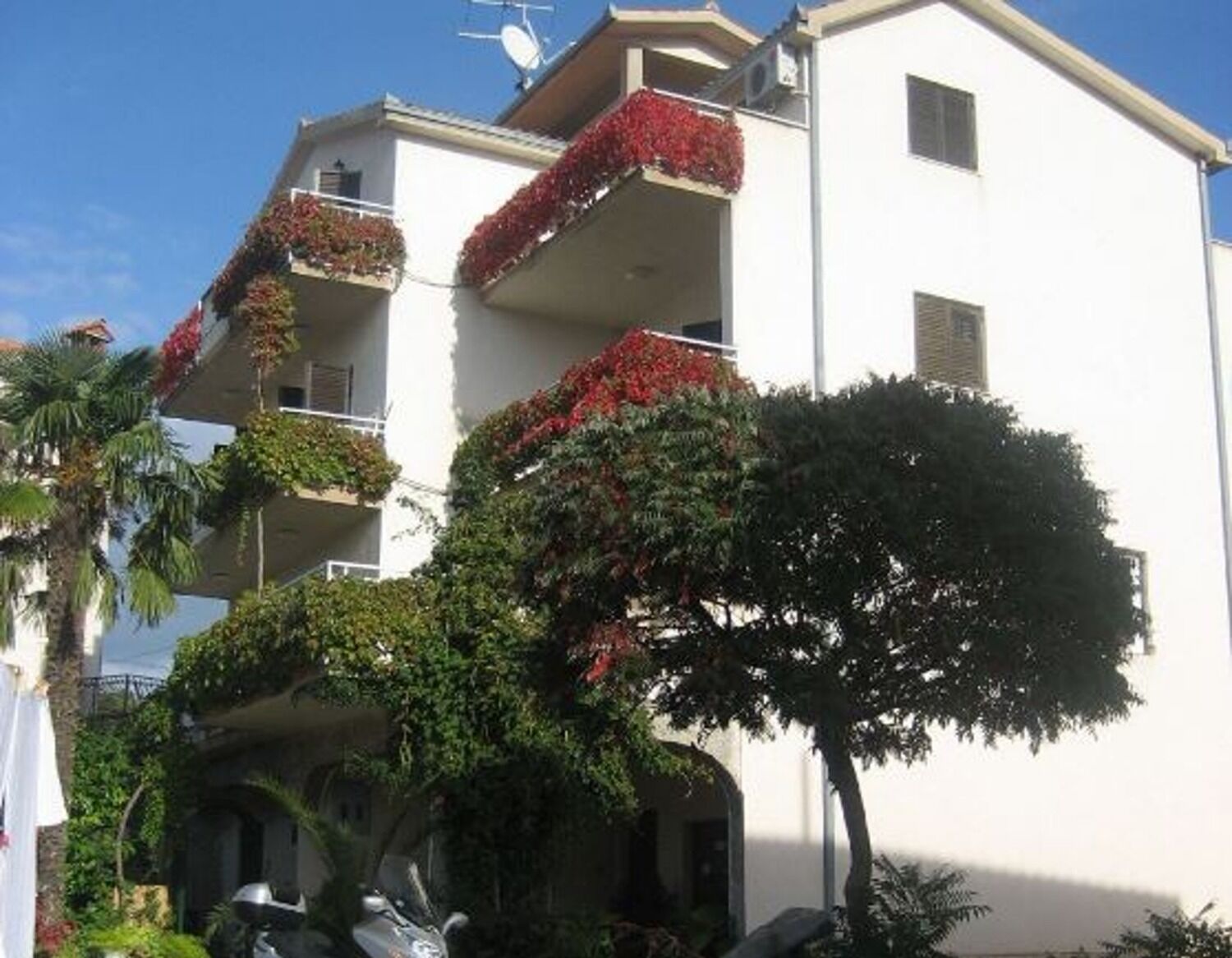 Apartment Biserka 105411-A1