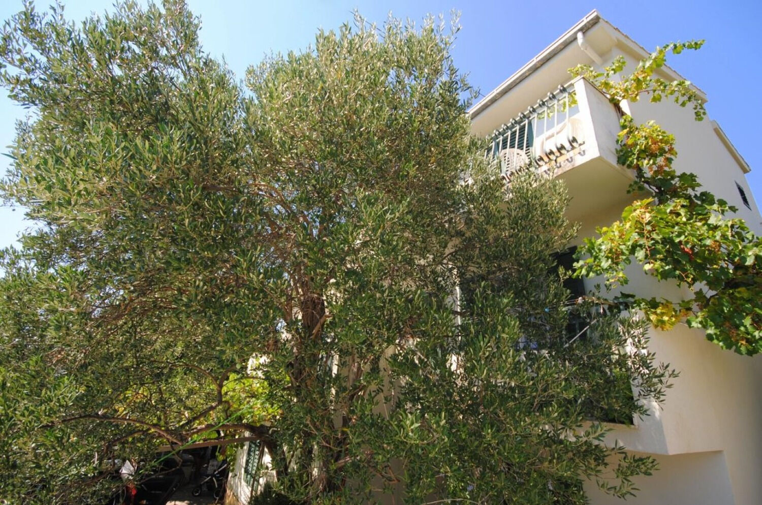 Apartment Rina 105441-A1
