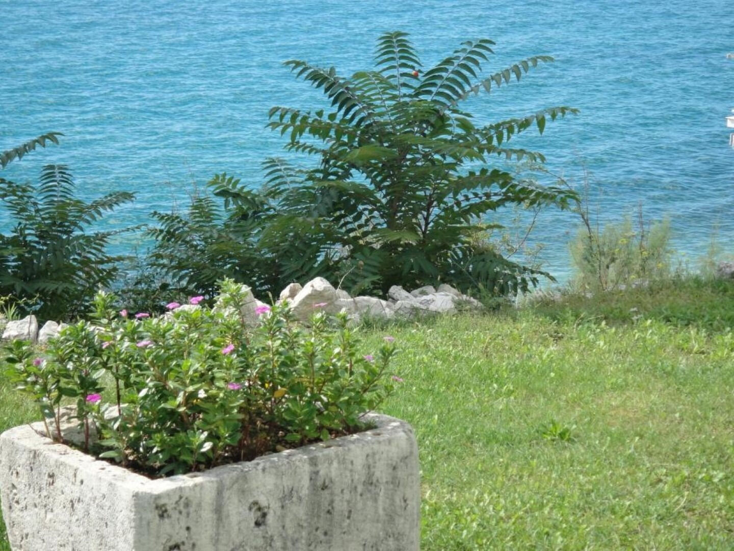 Apartments Sea View 105461-A2