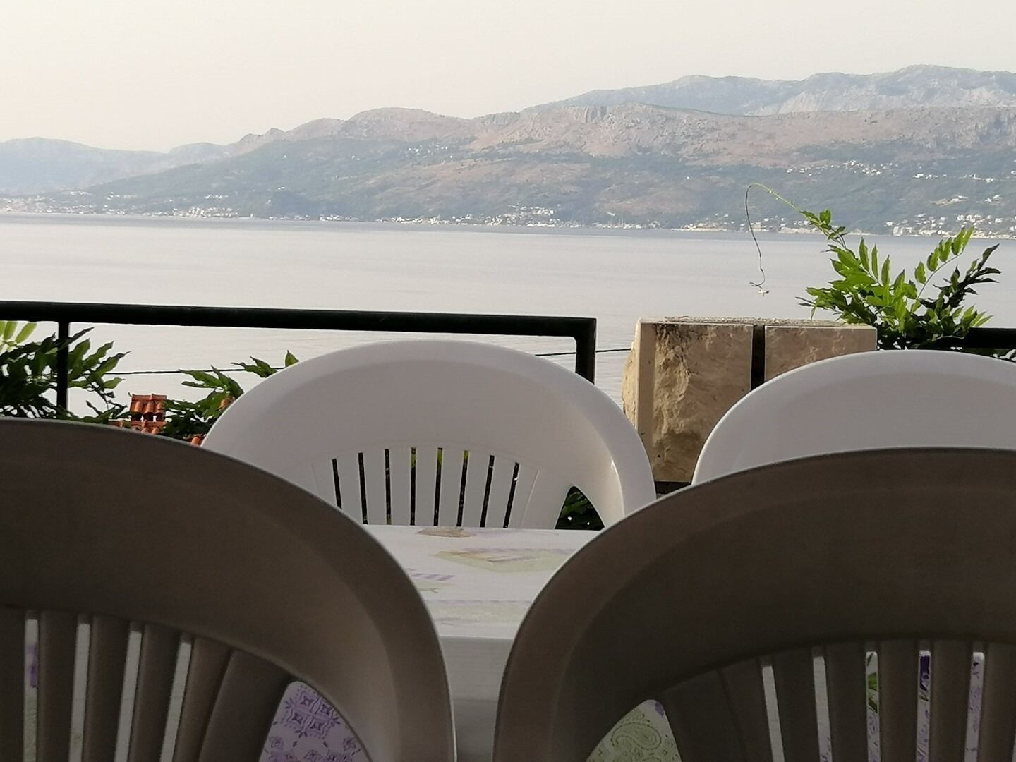 Apartment Miljana 105491-A1