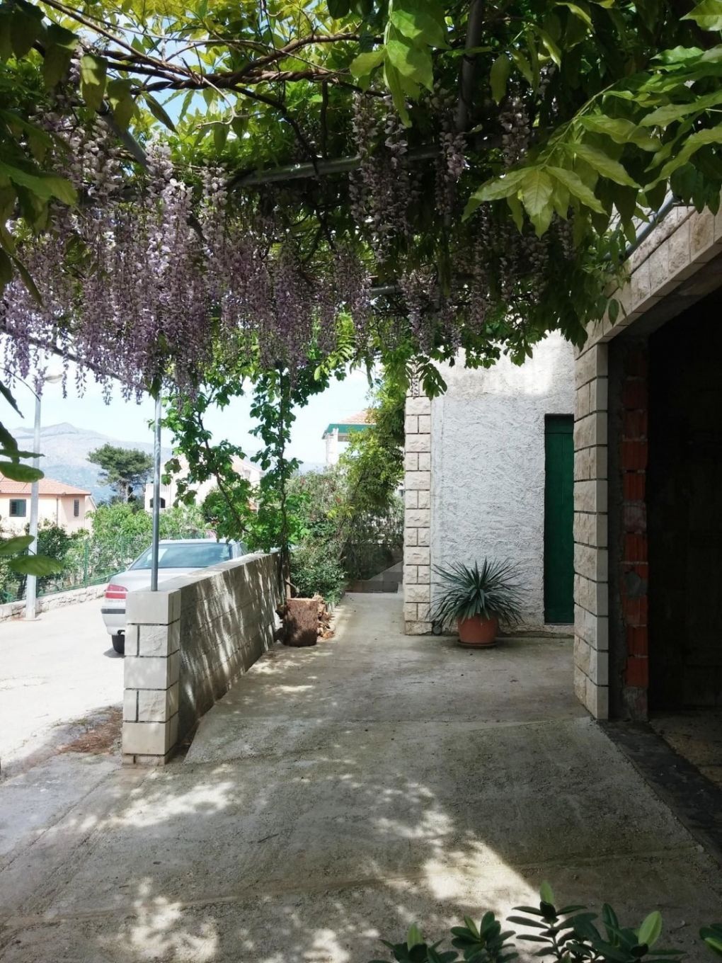 Apartment Miljana 105491-A1