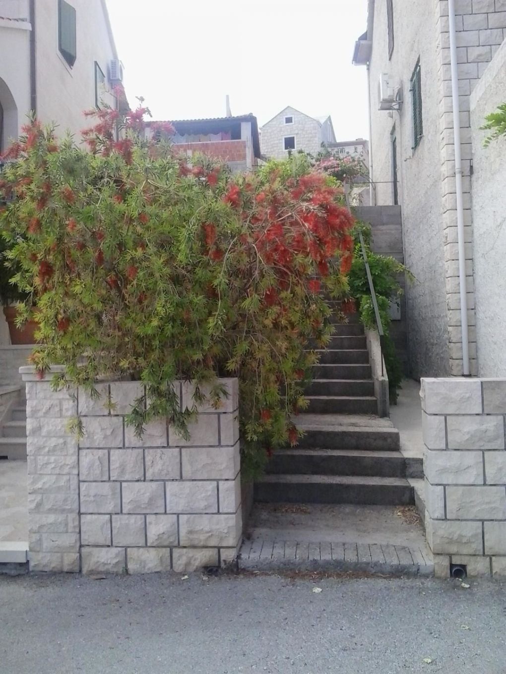 Apartment Miljana 105491-A1