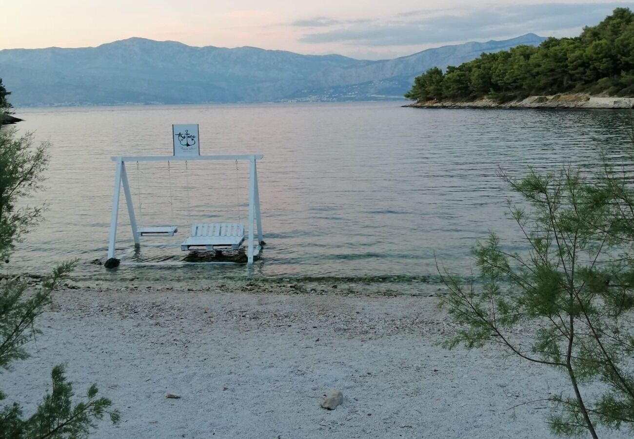 Apartment Miljana 105491-A1