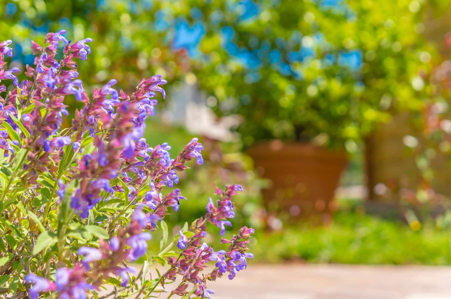 Photo of Apartment Marinko