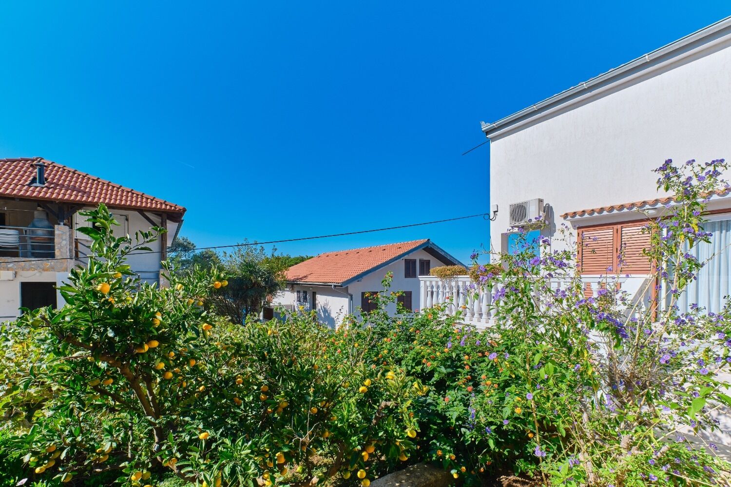 Apartment Luce 10557-A1