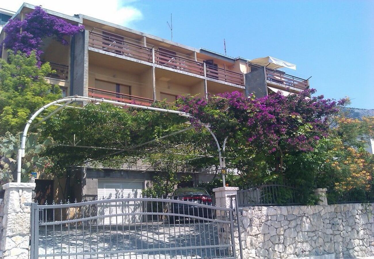 Apartments Bor A1