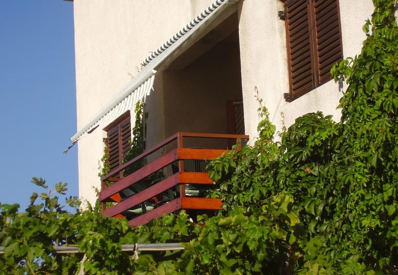 Apartment Mir A1