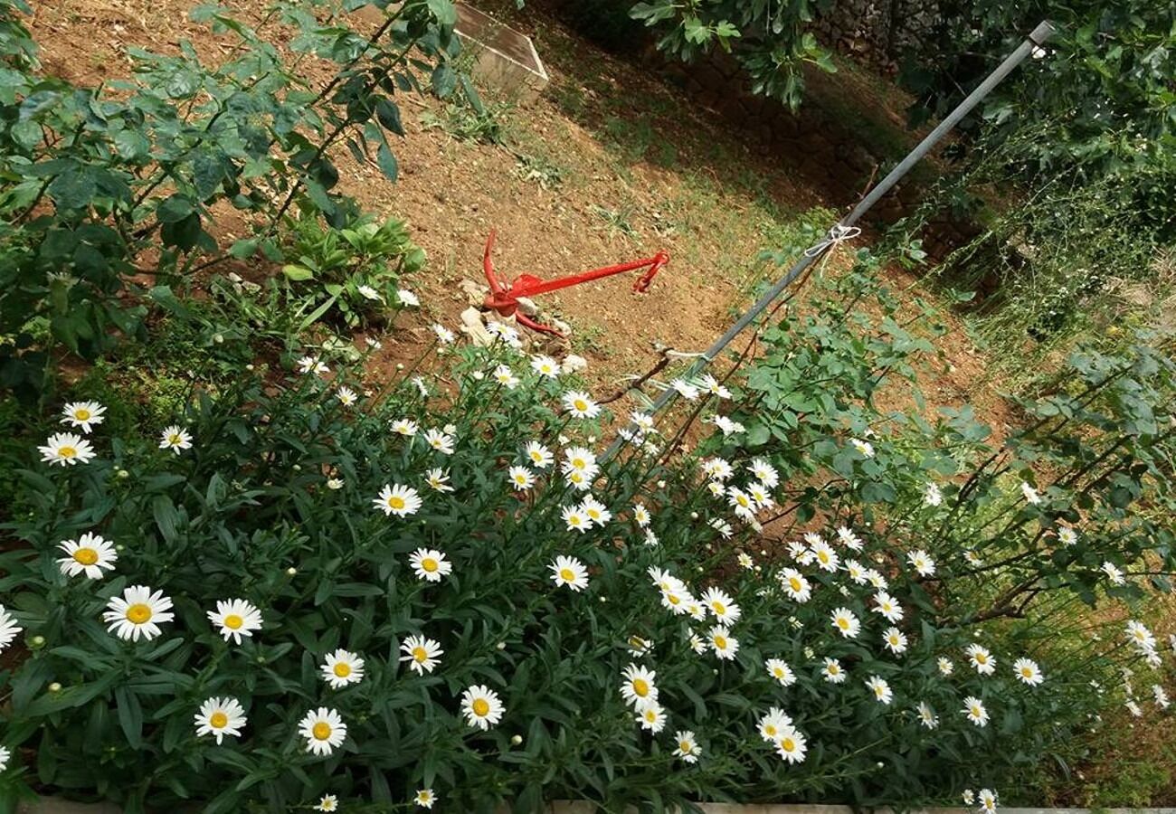 Apartments Ruzica 105701-A2