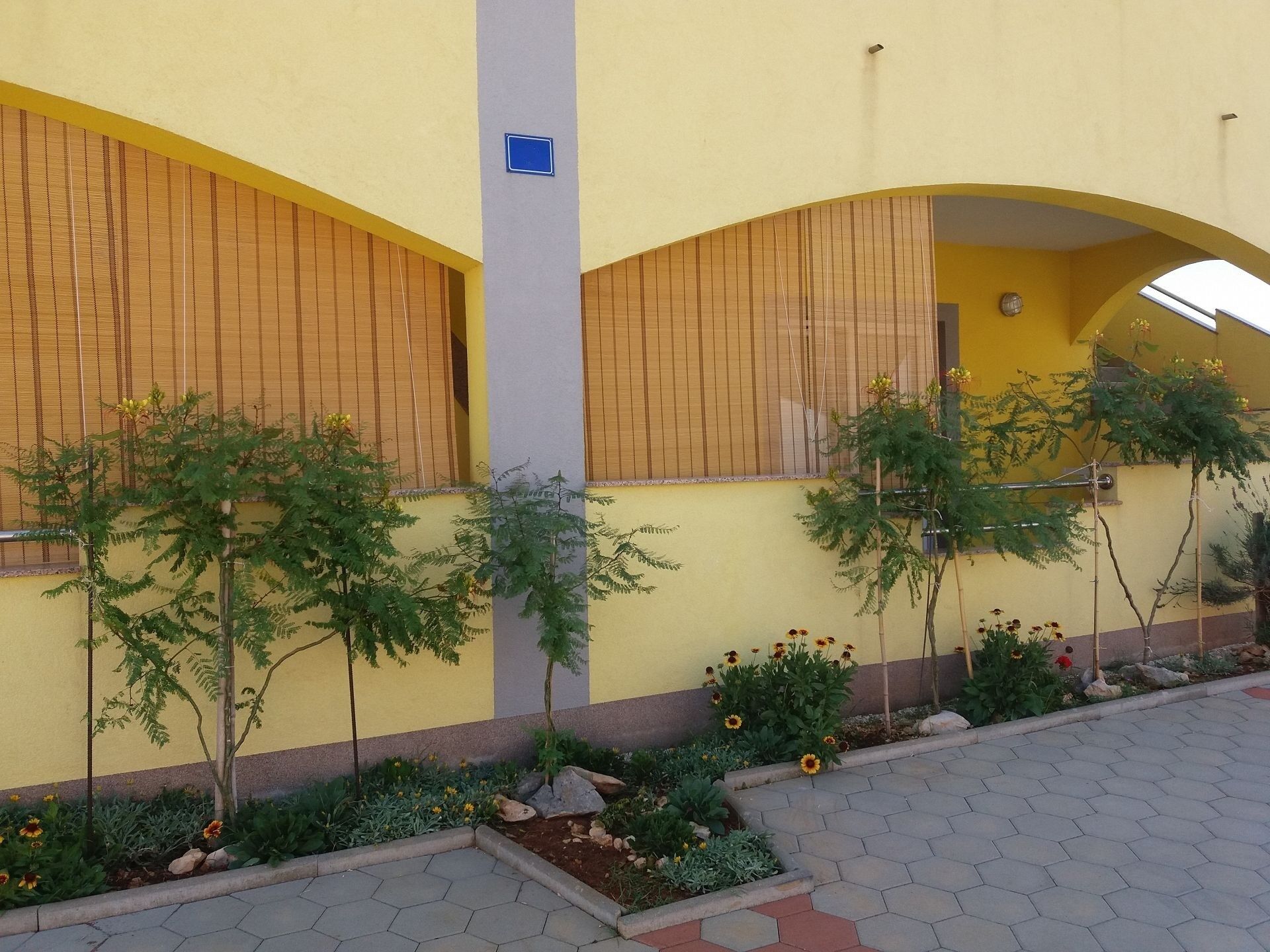 Photo of Apartments Vanja