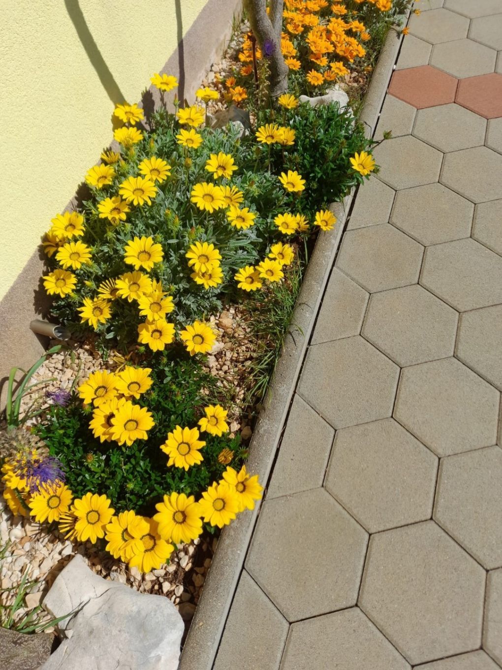 Photo of Apartments Vanja